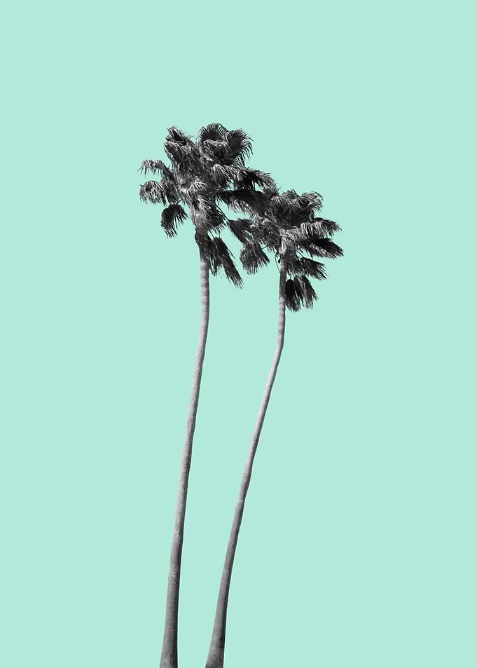 Tranquility Palms 3