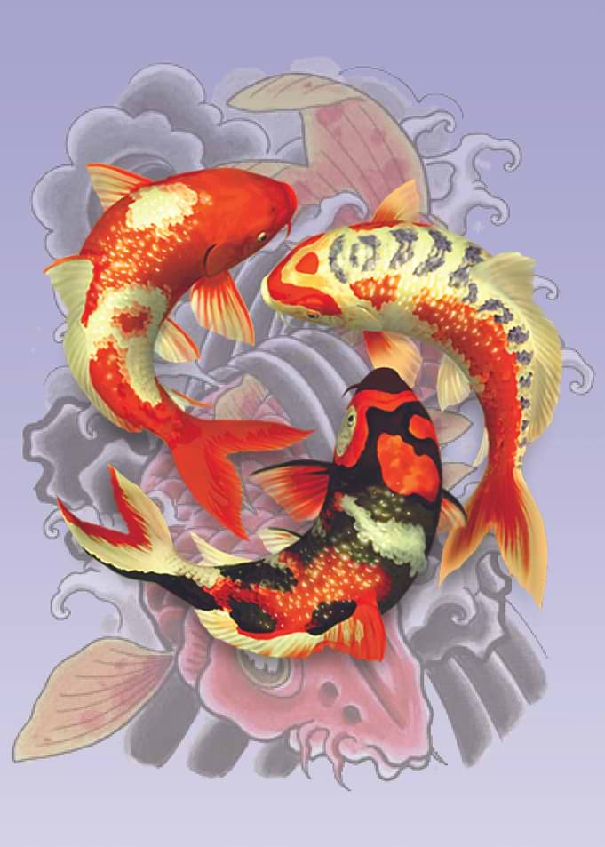 Koi Fish