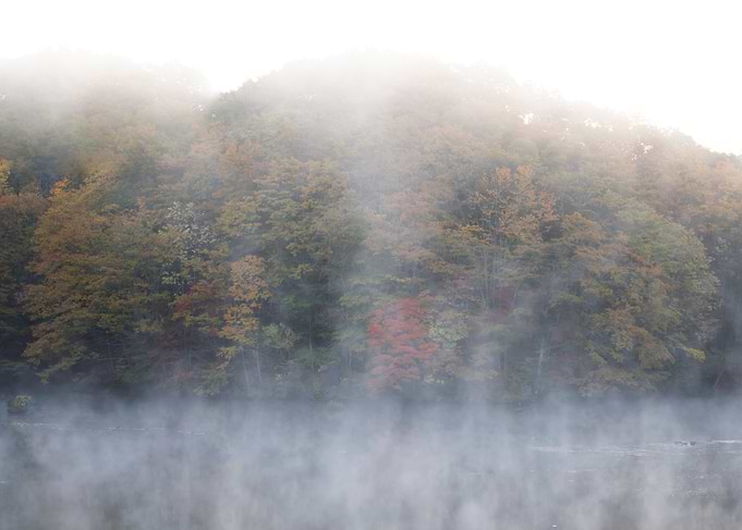 Autumn Lake View in Japan