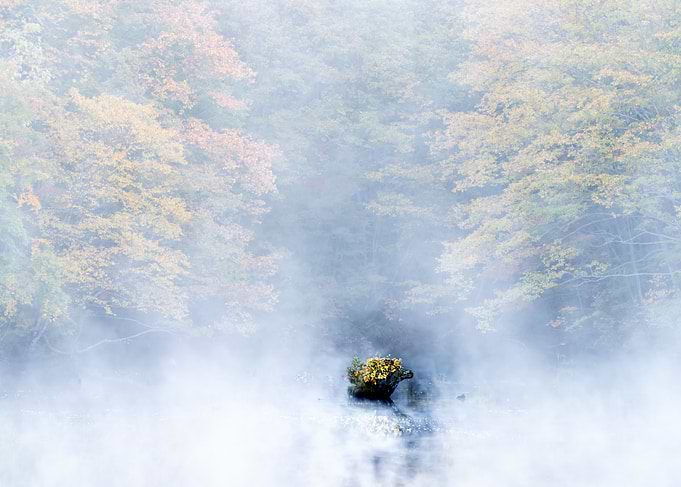 Autumn Lake View in Japan