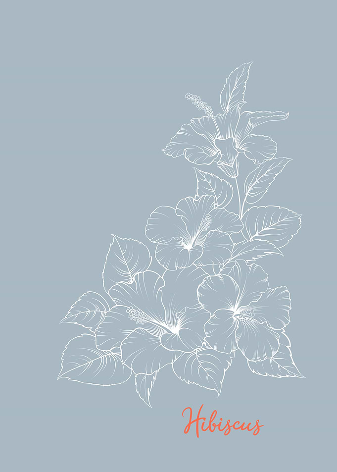 Hibiscus Tropical Flower