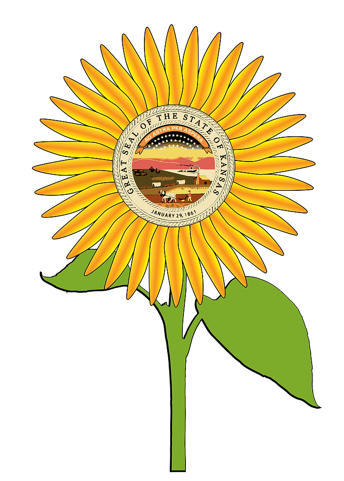 Kansas State Sunflower