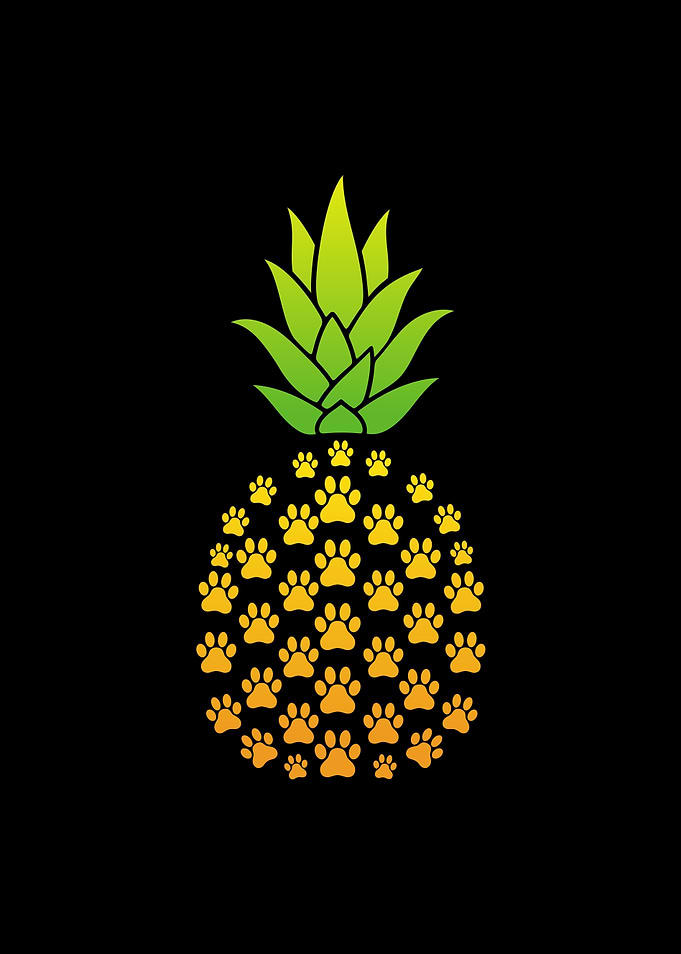 Funny Pineapple Cat