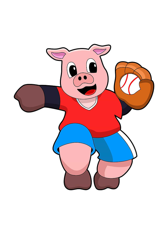Pig Baseball glove ball