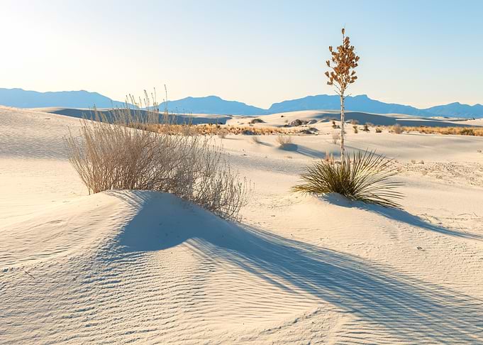 White Sand Evening