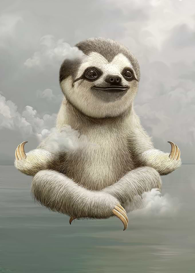SLOTH MEDITATE