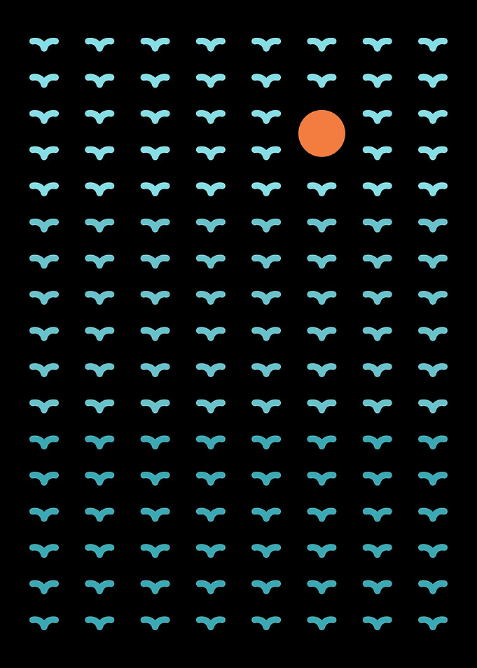 Sunset in The Sea of Birds
