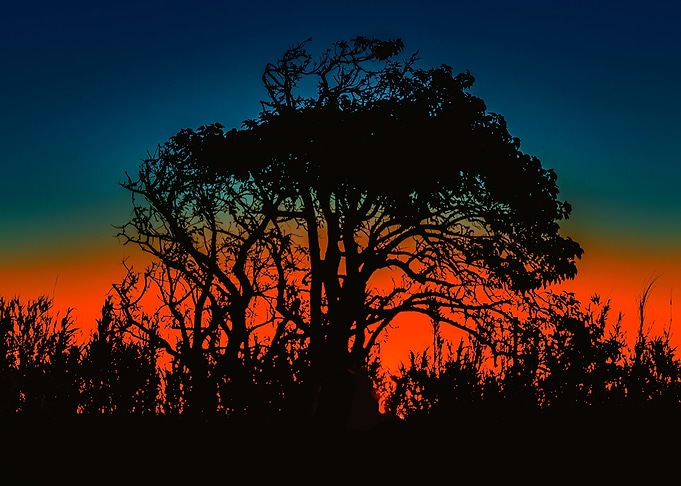 Sunset Colorful Nature