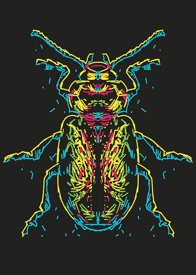 Abstract beetle