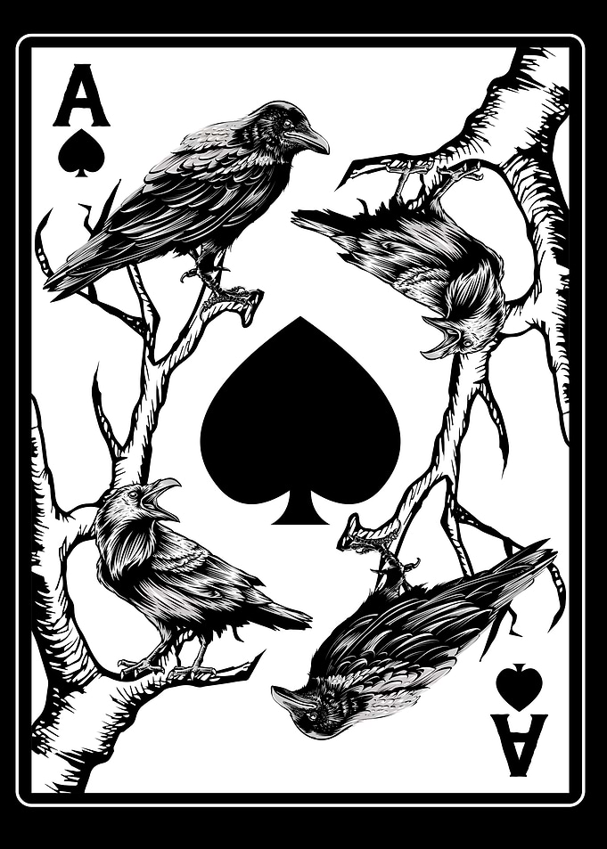 Ace of Spades Crow Raven