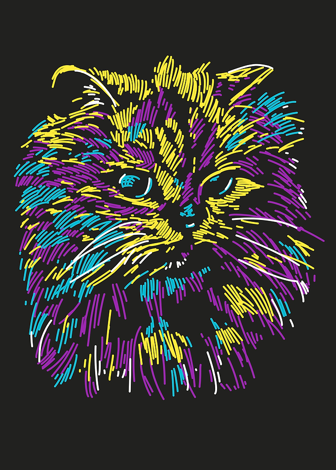abstract cat