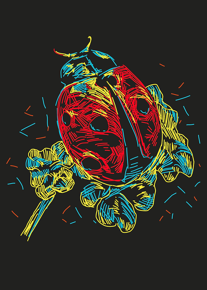 ladybug