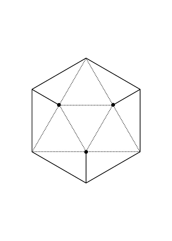 Black and White Geometric