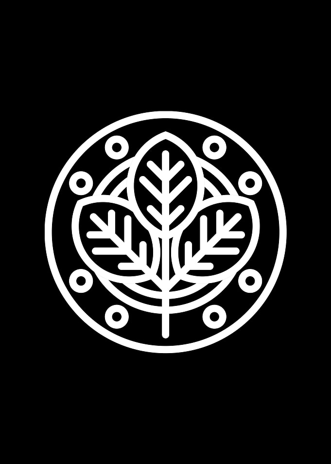 Black Sacred Geometry Rune