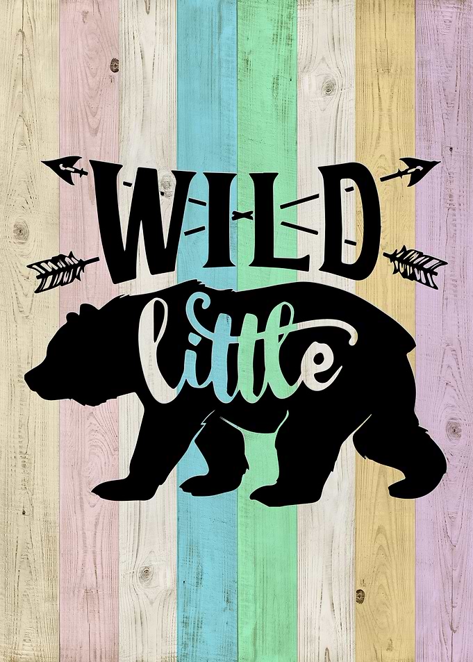 wild little bear