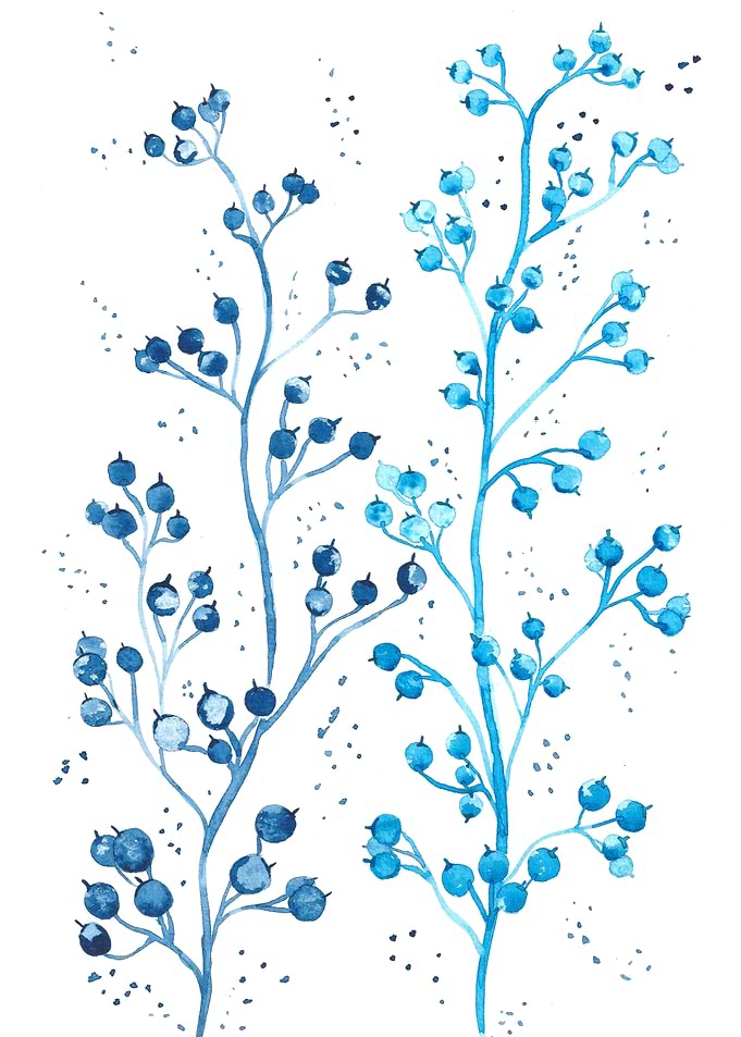 Juicy blueberries