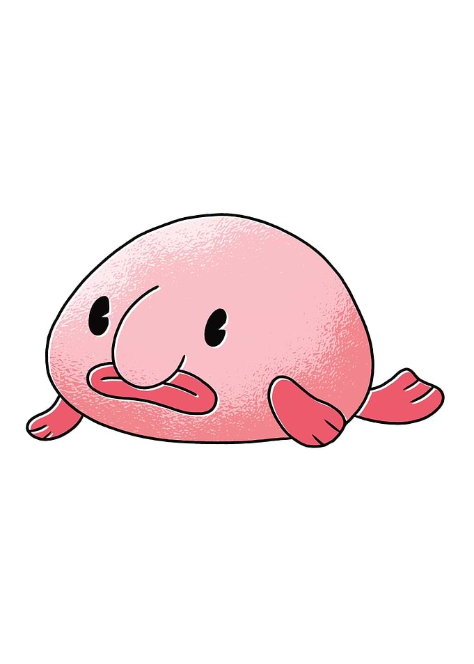 Funny Blobfish Gift Cute