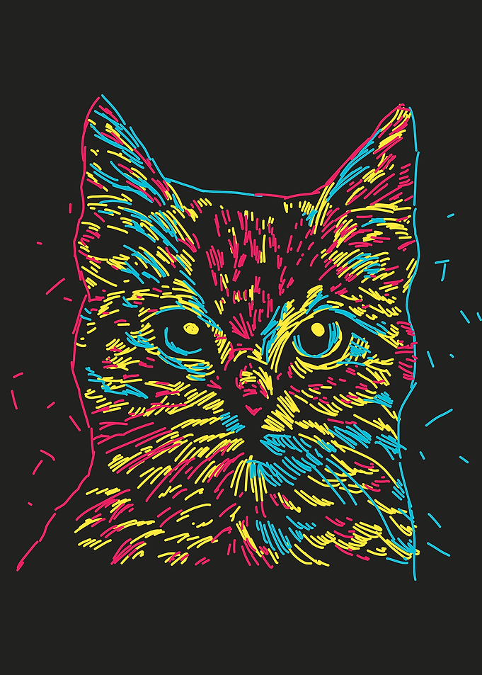 Colorful cat head