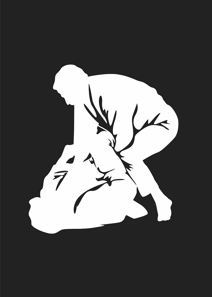martial art