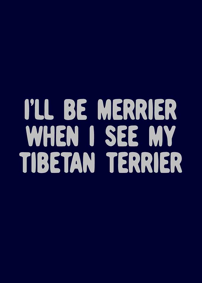 Tibetan Terrier