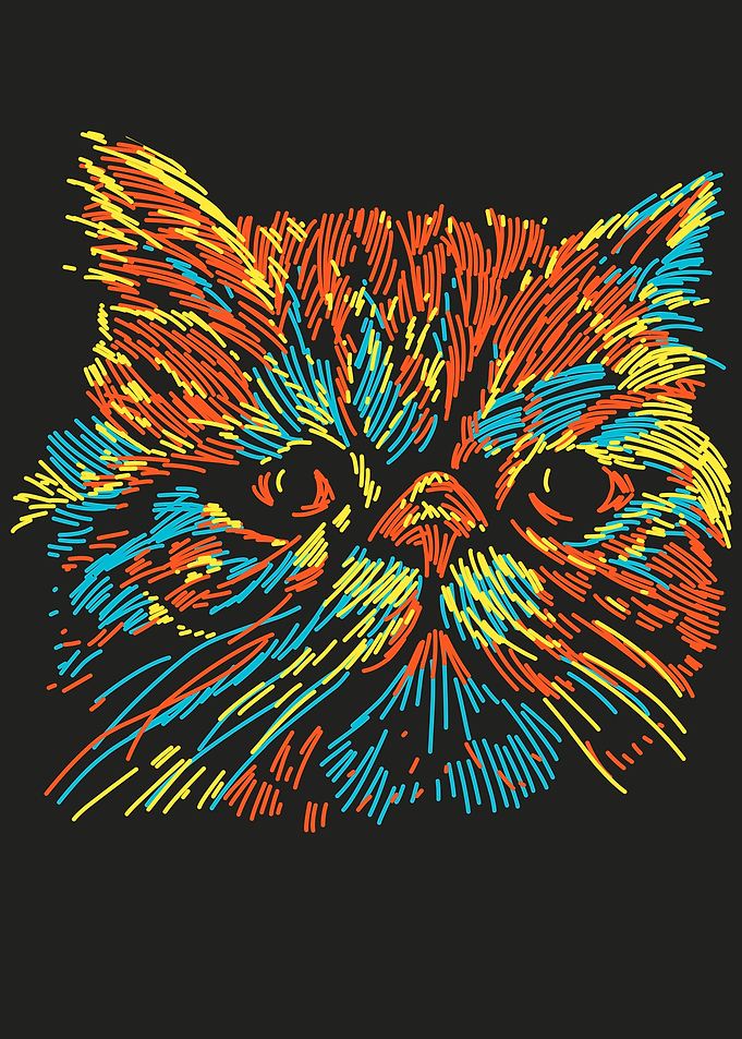 flat nose cat