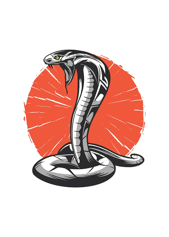 Cobra Snake Karate Animal