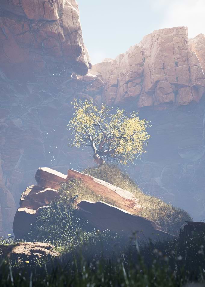 cave tree