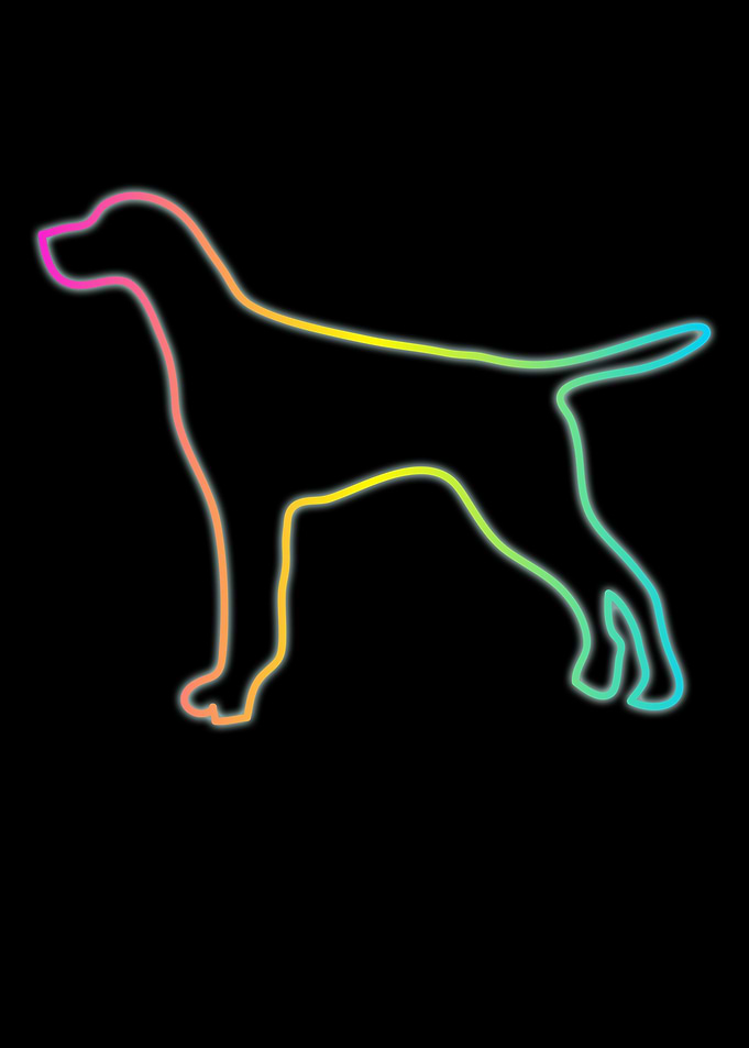 German Shorthair Pointer
