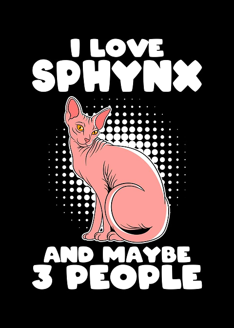 I Love Sphynx and 3 People