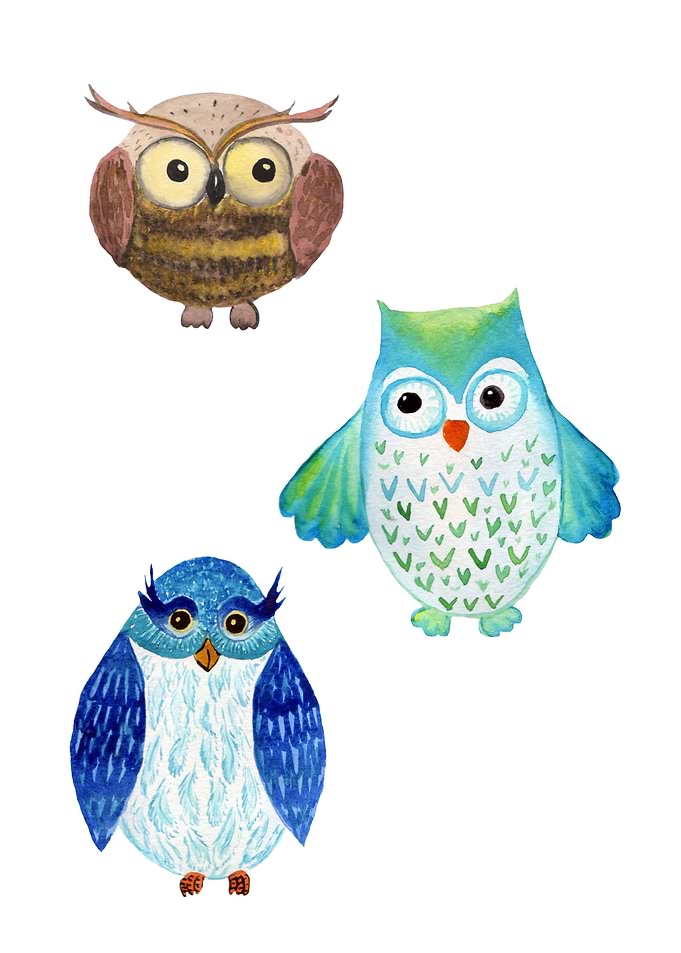 Three cute owls