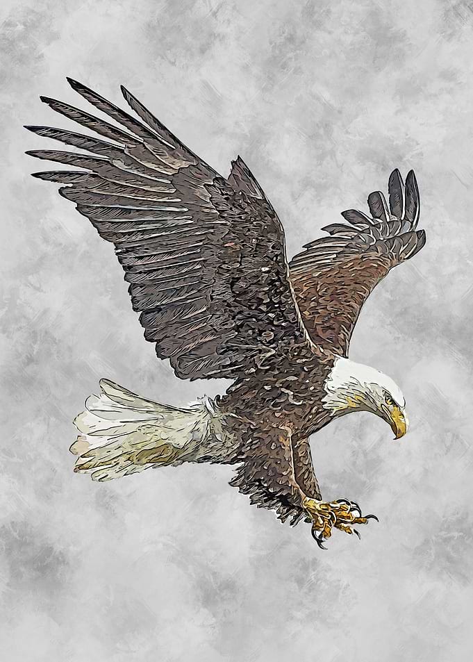 Eagle II 2021