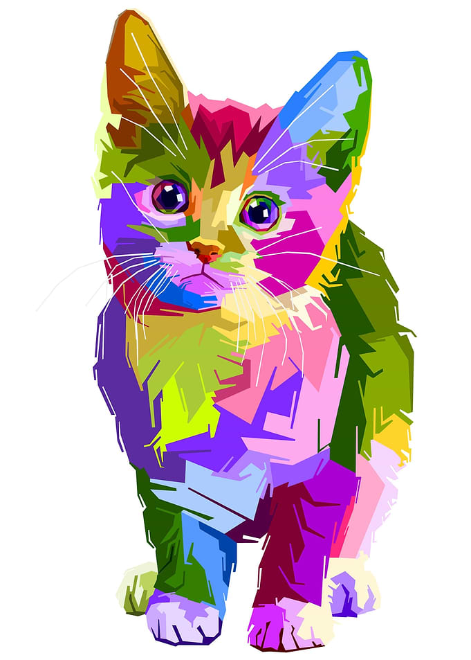 Multidimensional Cat Pet