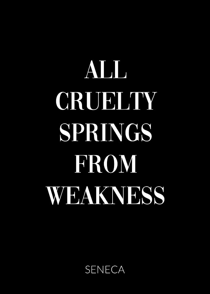 Seneca Quote