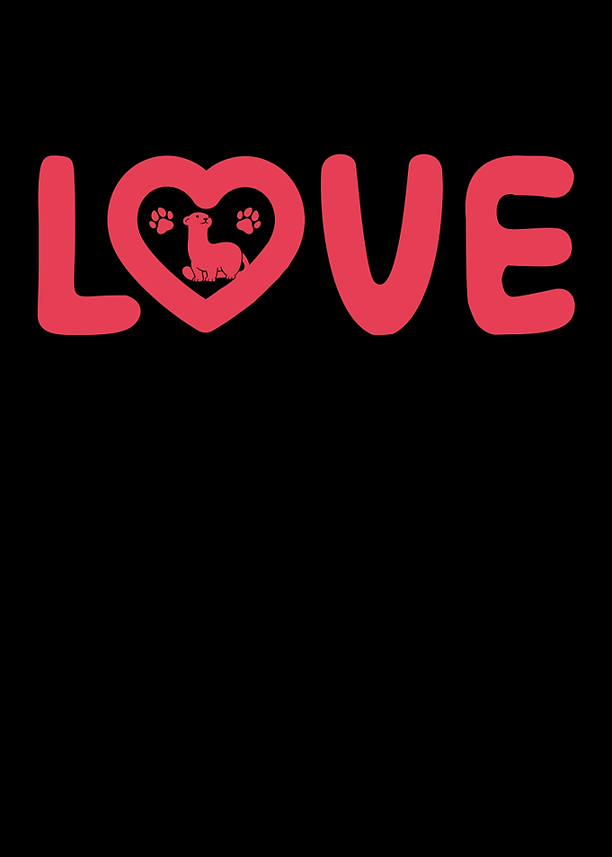 Love ferret