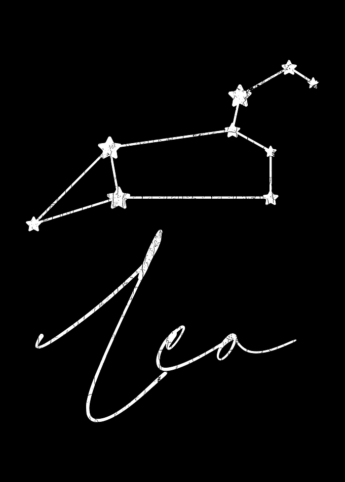 Leo Apparel For Men And Wo
