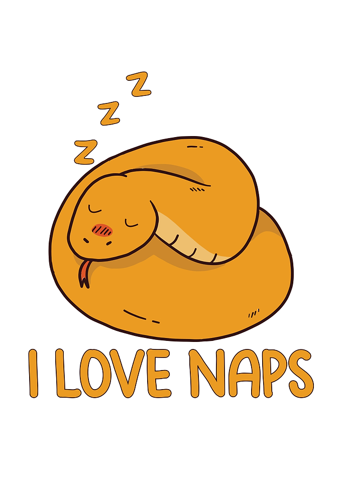 I love naps snake