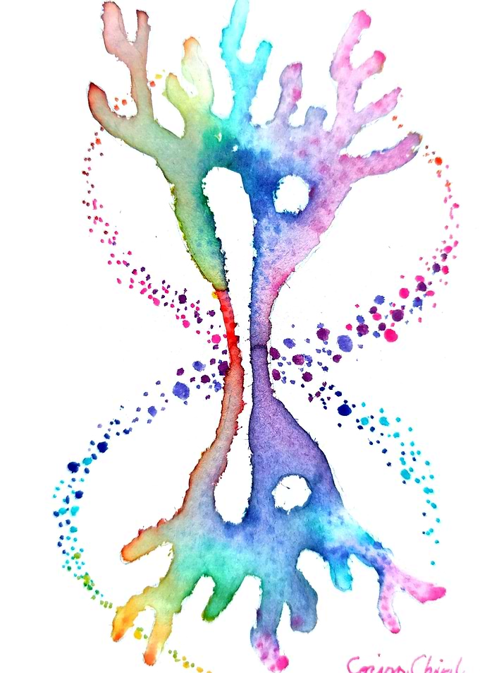 Dividing cell and DNA