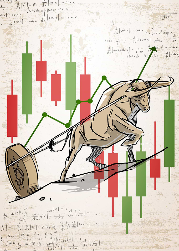 Bears Vs Bulls Crypto