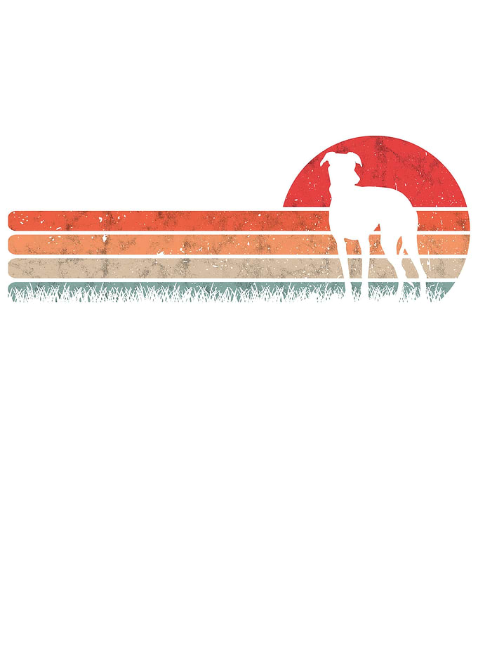 Italian Greyhound Vintage