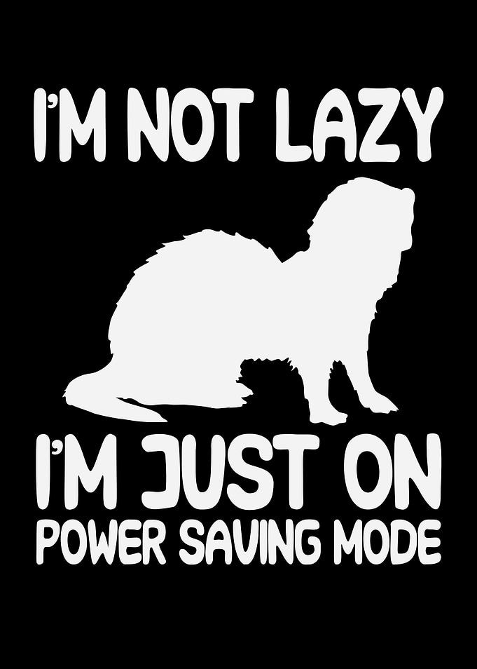 Not Lazy Ferret
