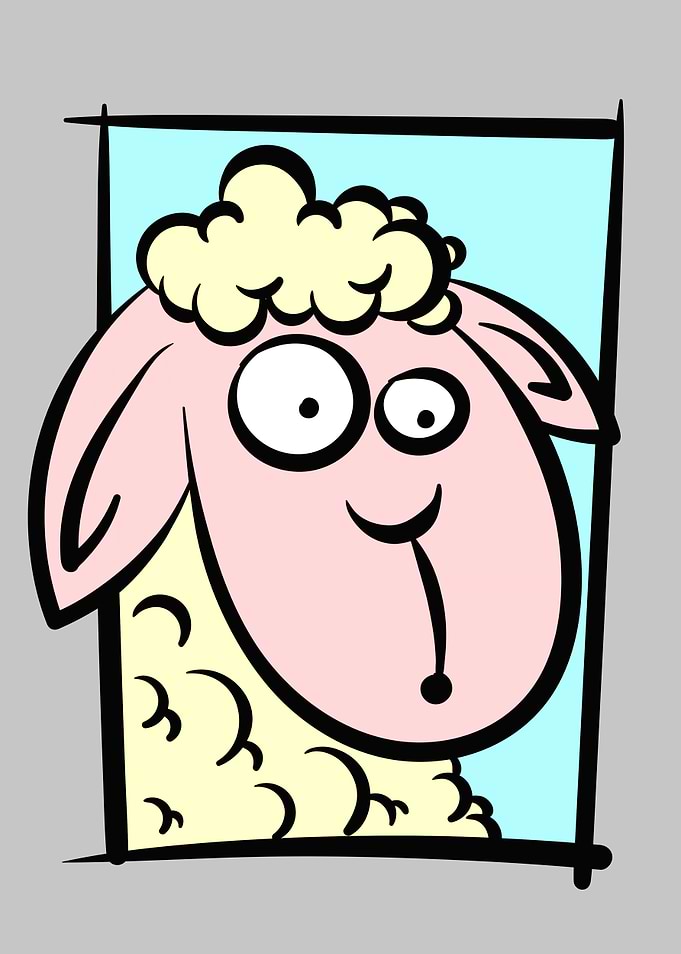 Sheep