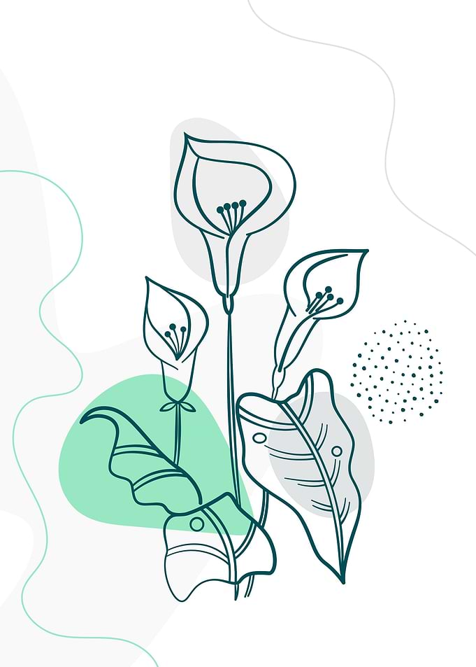 Minimal flower and leaves