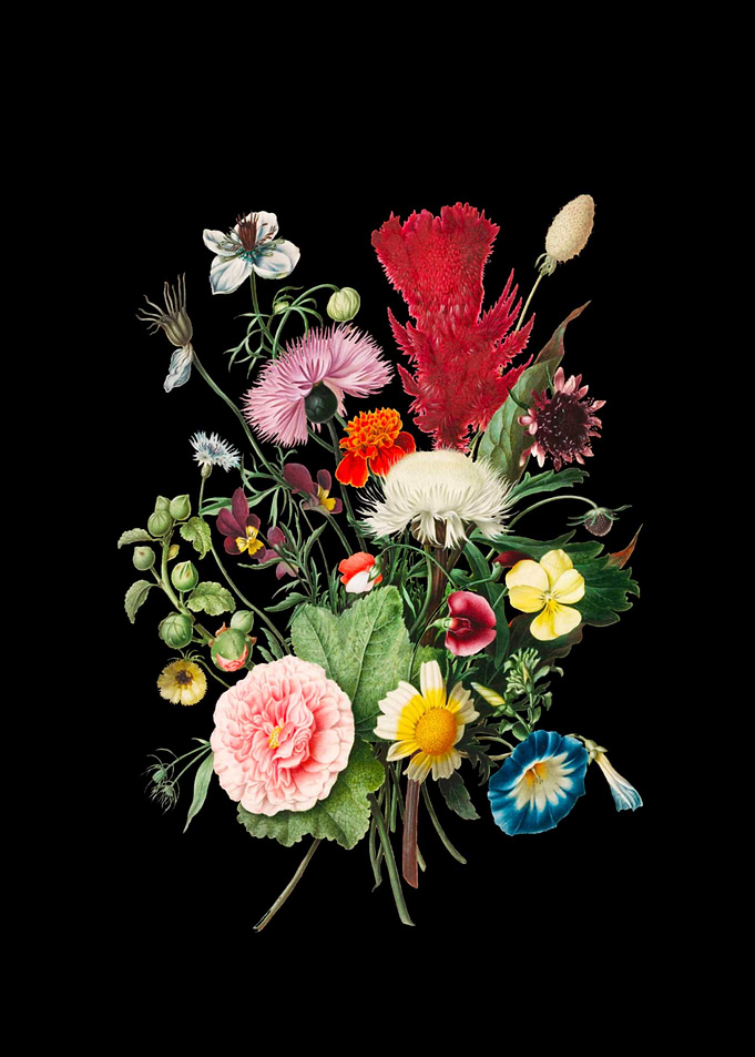 Vintage flowers art