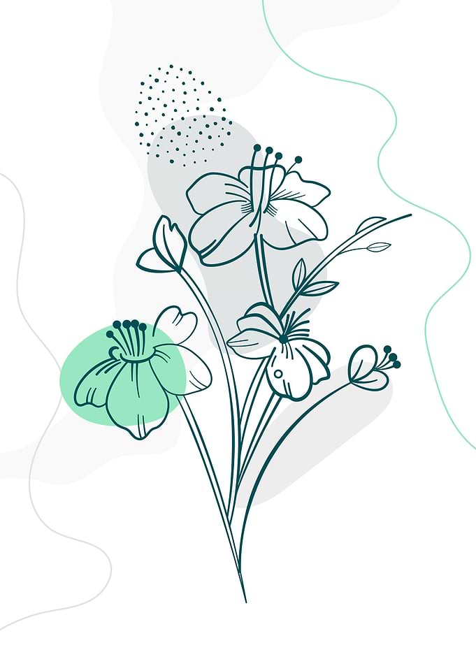 Minimal flower leaves art