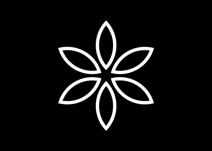 Black and White Geometric