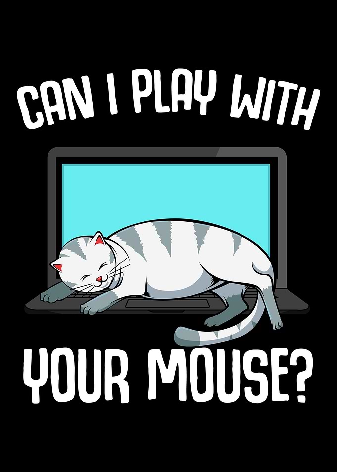 Mouse Cat Laptop Kitten
