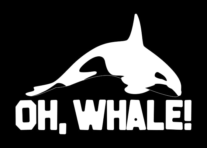 Whale Pun Joke Whales