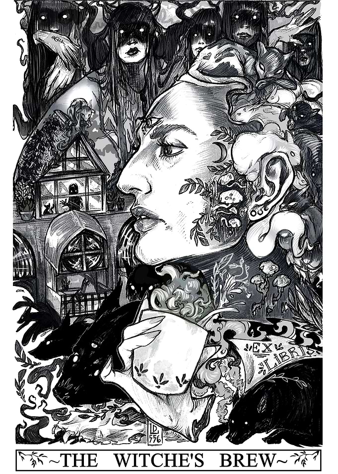 The Witches Brew
