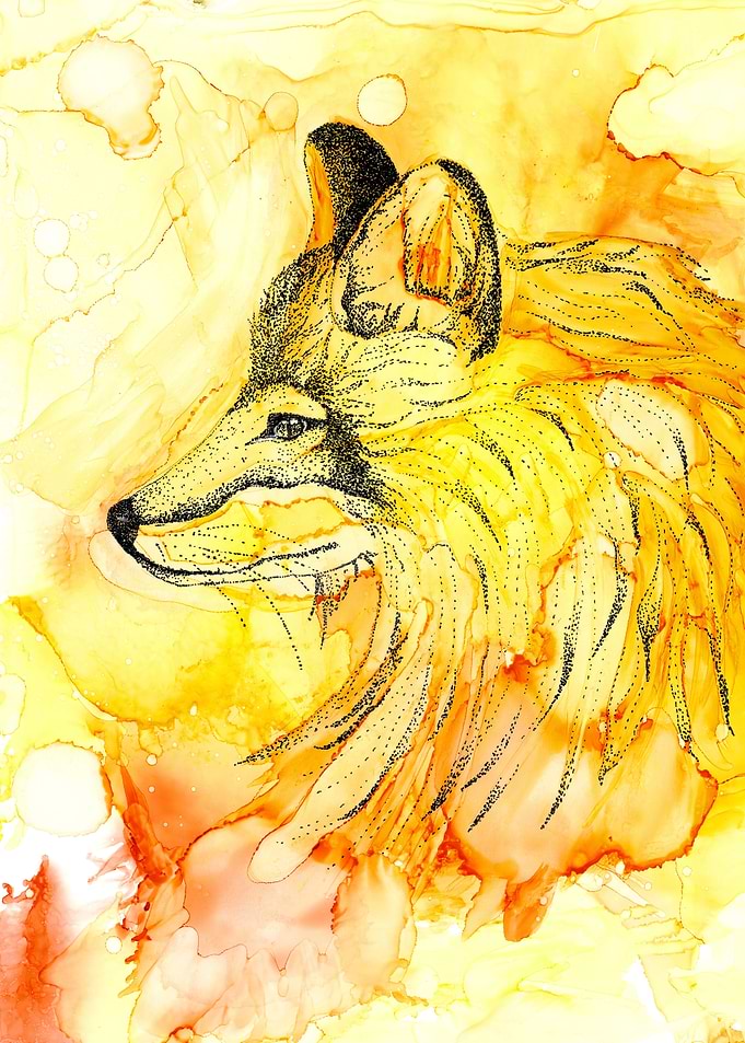 Firefox