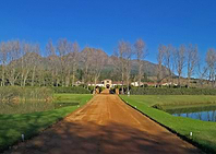 South African Wine Estate